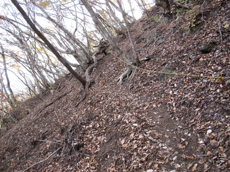 20181126hike (144)